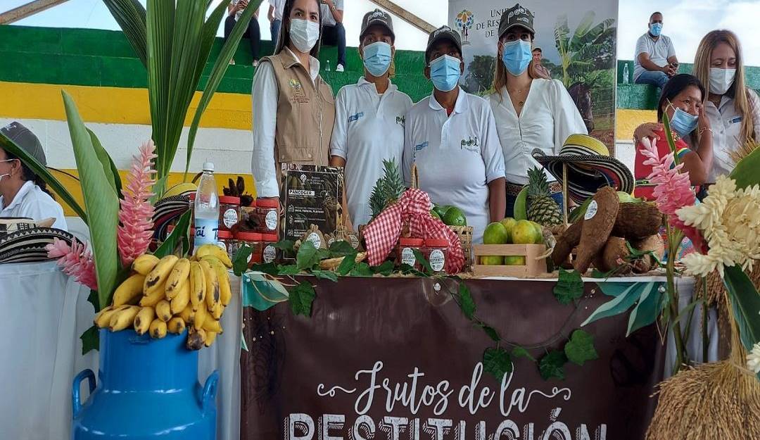 Proyectos de restitución de tierras.