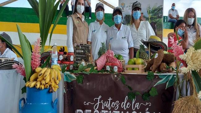 Proyectos de restitución de tierras.