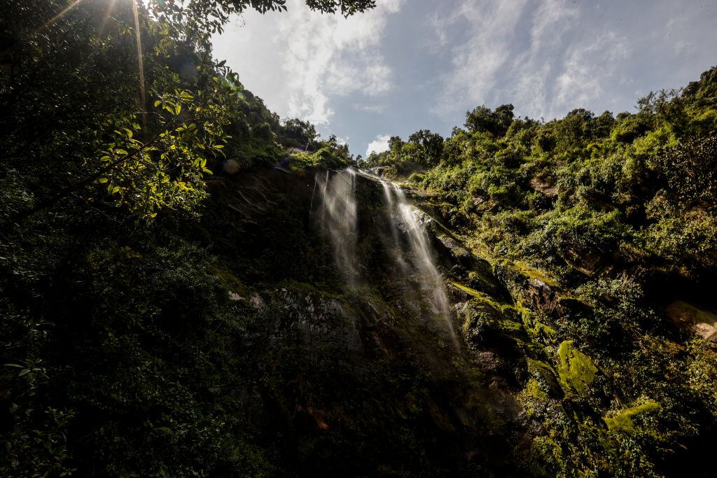 Cascada La Chorrera. I Foto:  Juancho Torres/Anadolu Agency via Getty Images.