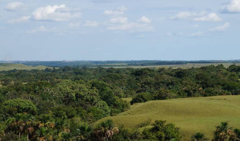 Tierras baldías en el Guaviare 