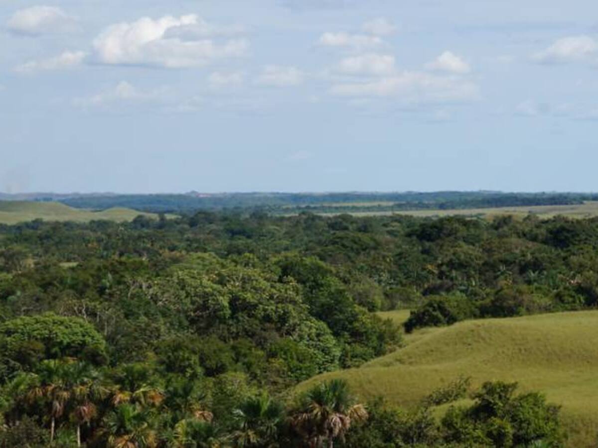 Disidencias de las Farc está regalando tierras en el Guaviare