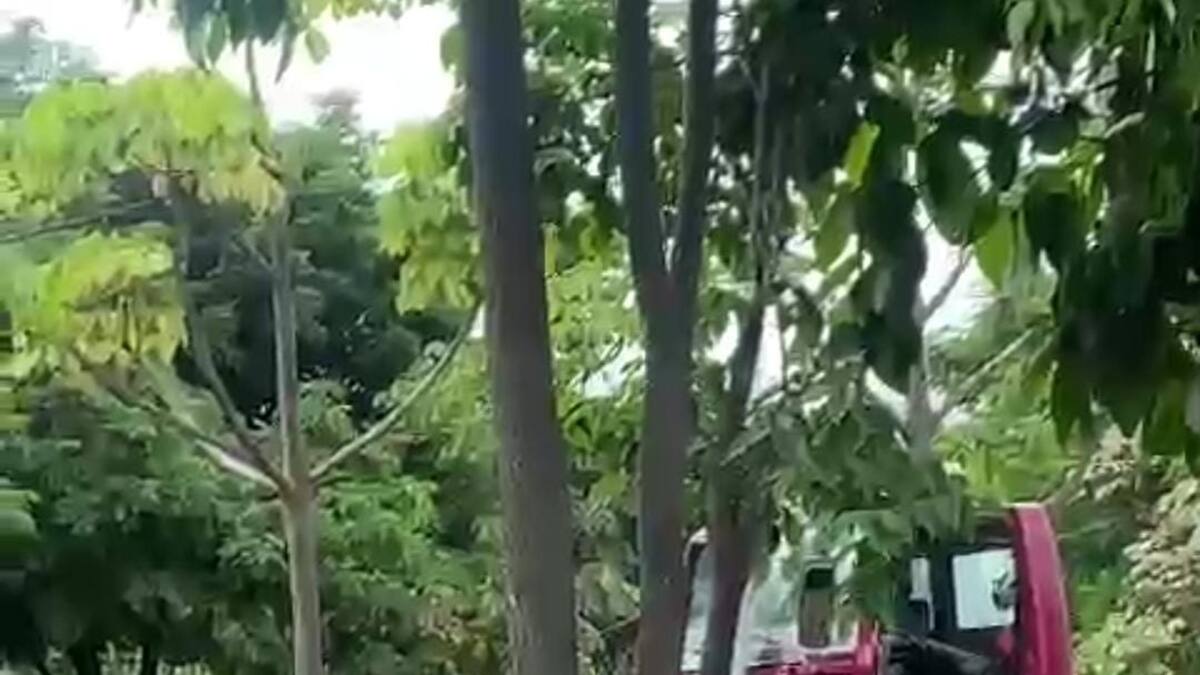 Una niña muerta y otro herido deja accidente de tránsito en Barranquilla