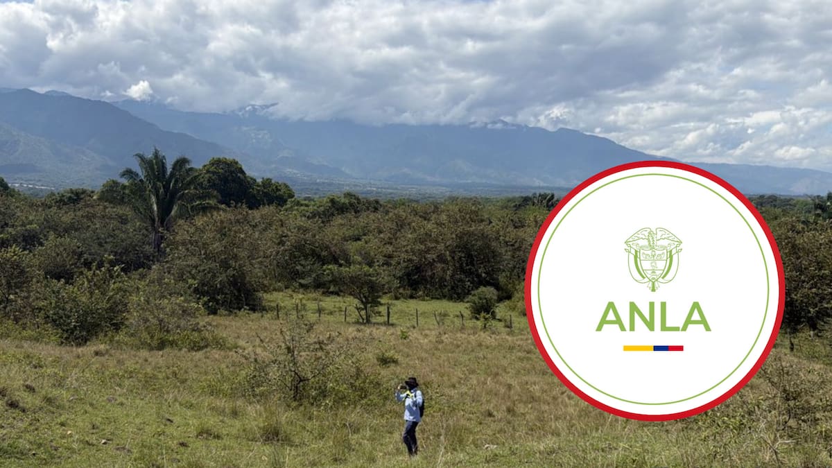 Proyecto de energía solar tiene la primera licencia ambiental aprobada por la ANLA