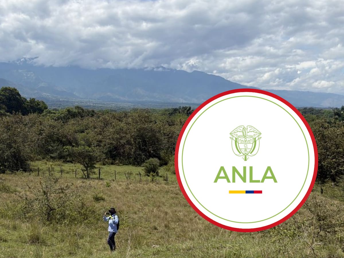 Proyecto de energía solar tiene la primera licencia ambiental aprobada por la ANLA