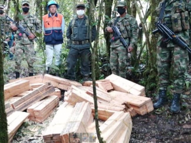 En Riosucio afectan 3 hectáreas de bosque al cortar árboles de forma ilegal
