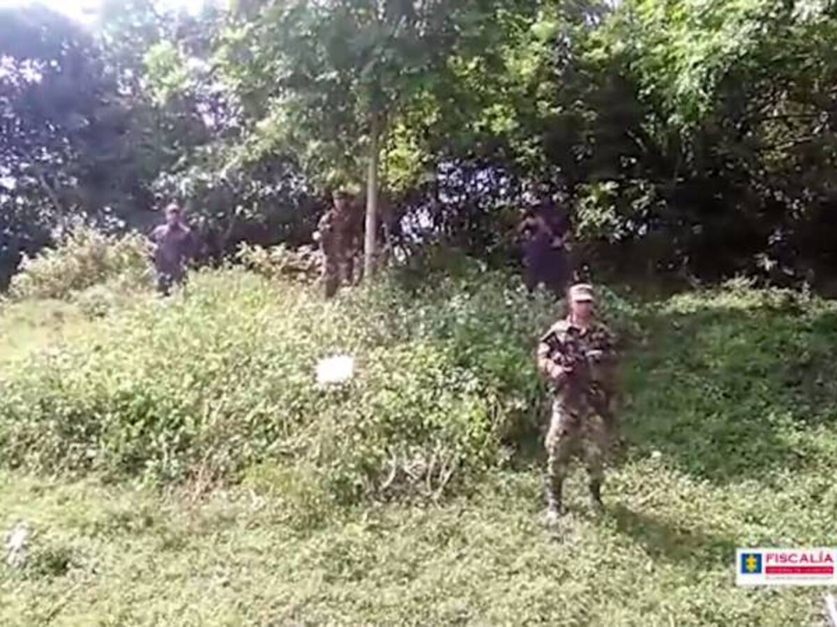 Autoridades encontraron un cultivo de coca en La Virginia