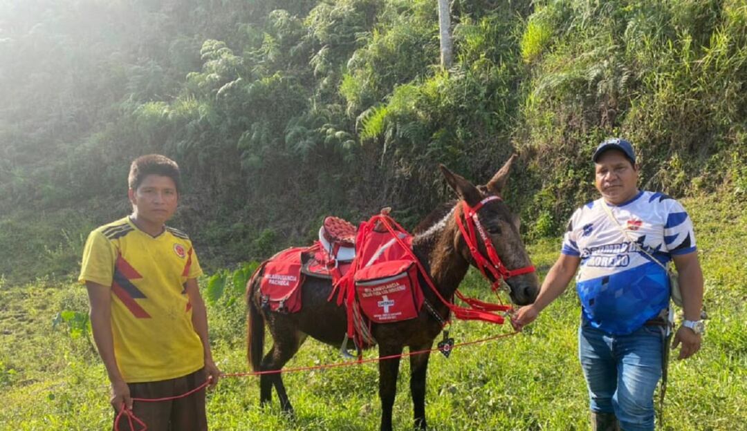 Con mulas se brinda asistencia médica 