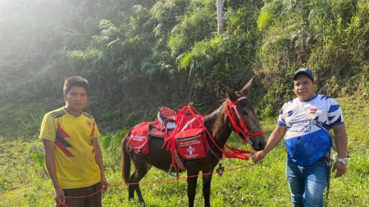 Con mulas se brinda asistencia médica a comunidades indígenas en Chitagá