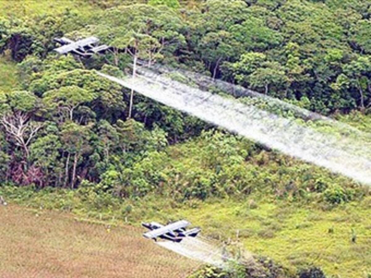 “Colombia no va indemnizar por fumigaciones en la zona de frontera con Ecuador”: Canciller
