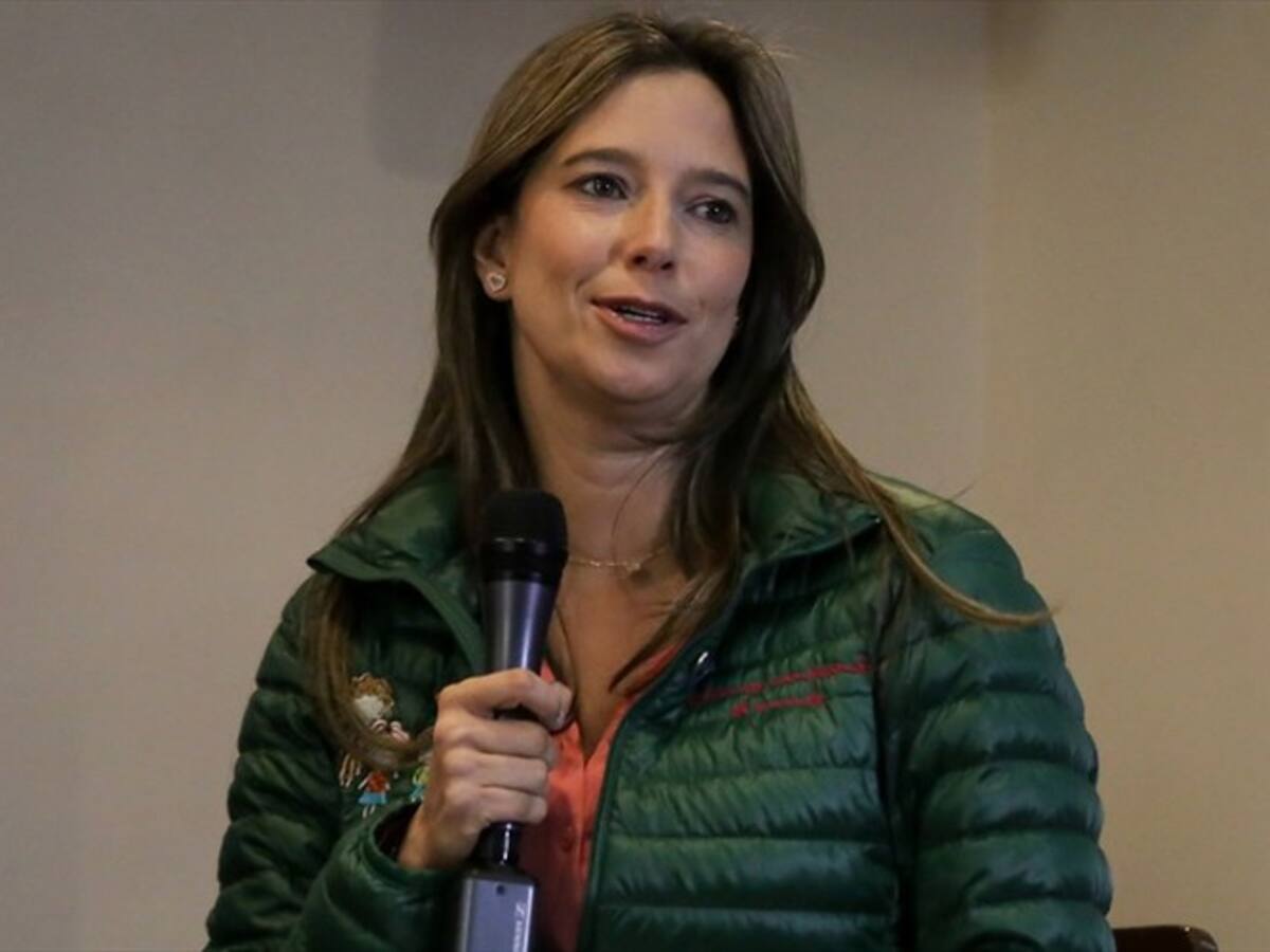 Roces con miembros del Gobierno llevarían a salida de Cristina Plazas del ICBF