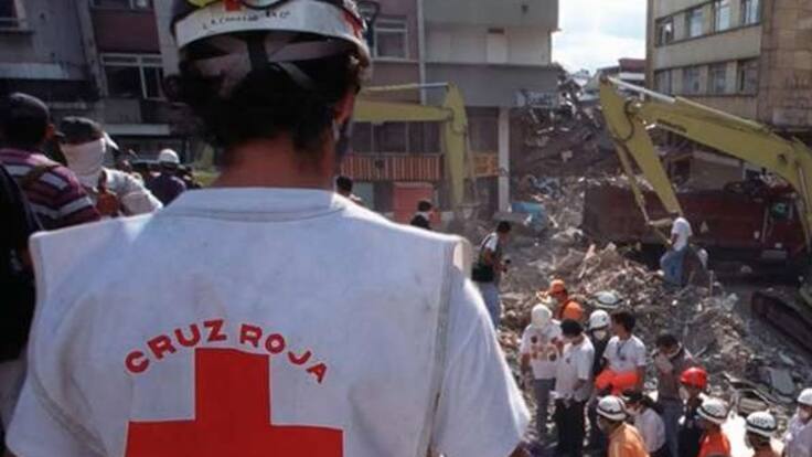 Director de la Cruz Roja Quindío