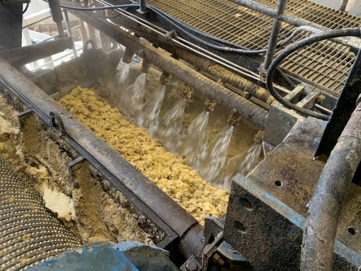 Cañicultores esperan arancel del 22% a importaciones de etanol de EE.UU.