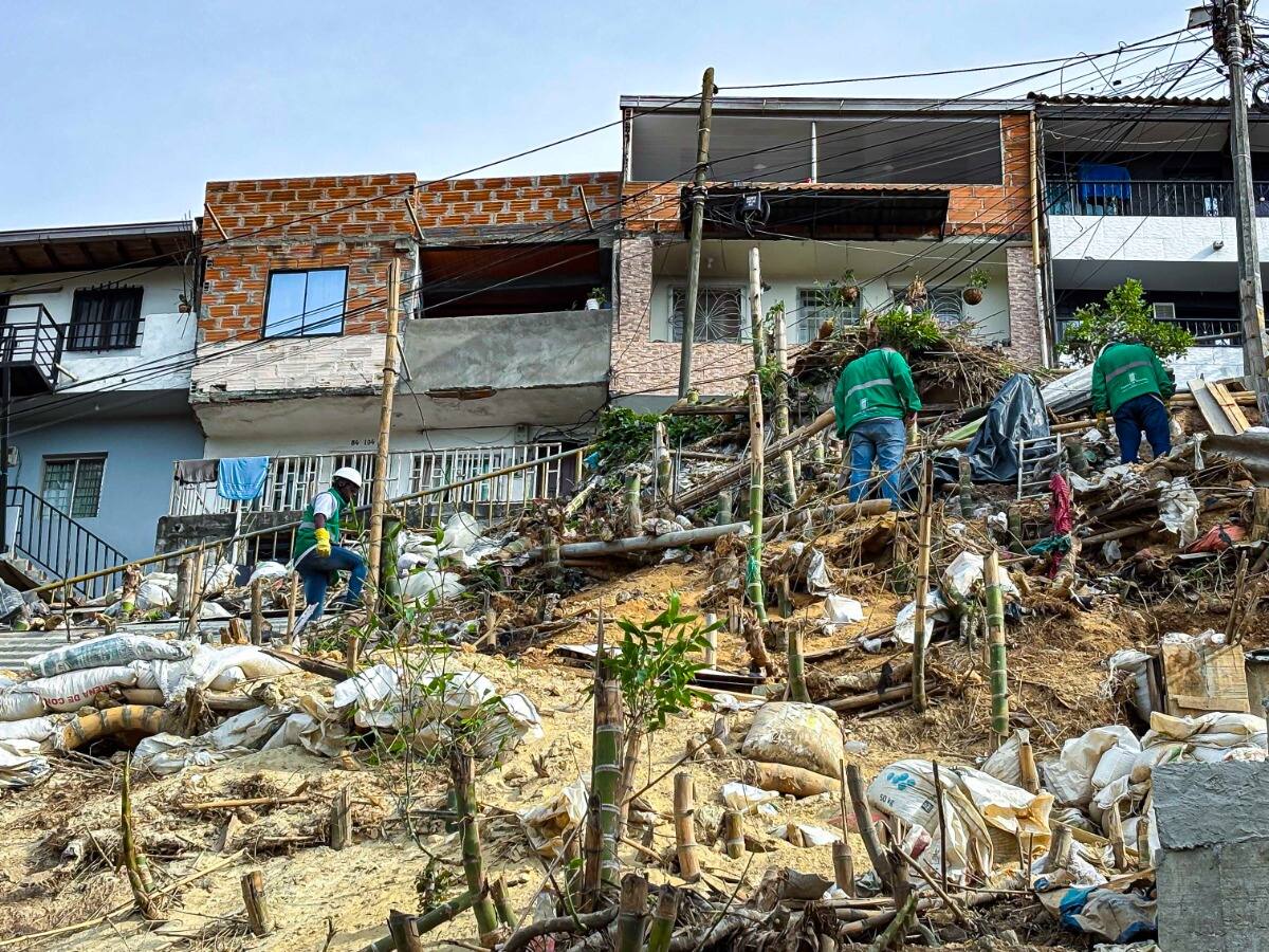 Autoridades frenan siete construcciones sin licencia en zona de protección ambiental en Medellín