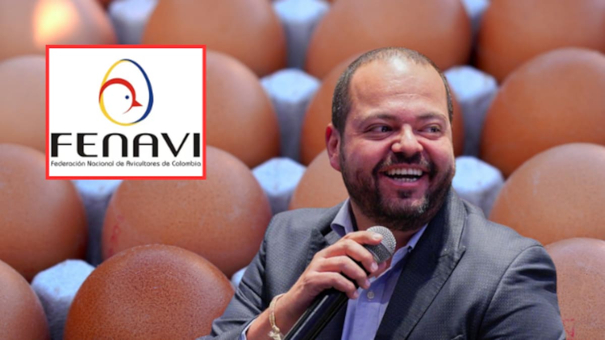 “Hay inventario para 4 o 5 días”: Fenavi alerta riesgo de escasez de huevo por bloqueos viales