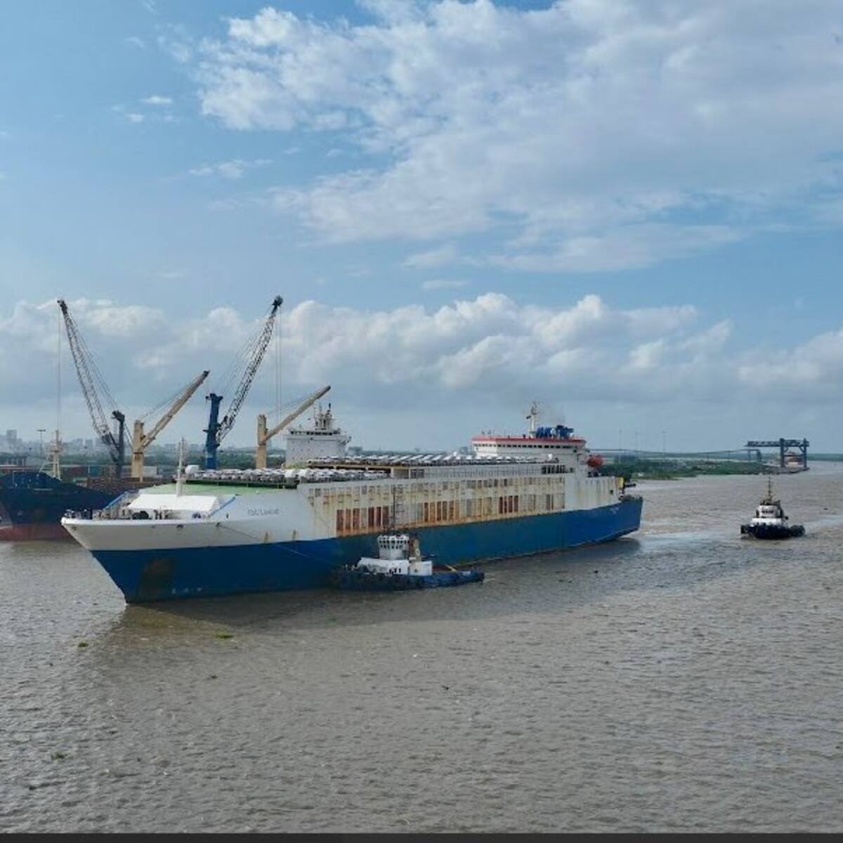 ¡Buena noticia! Por primera vez ingresó al Puerto de Barranquilla un buque tipo RoRo