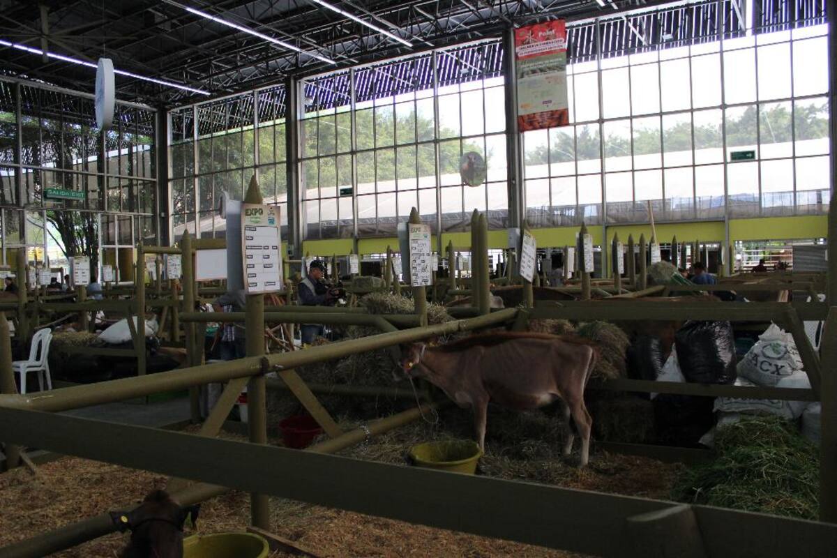 Así va la puesta en marcha de Expocolanta 2014