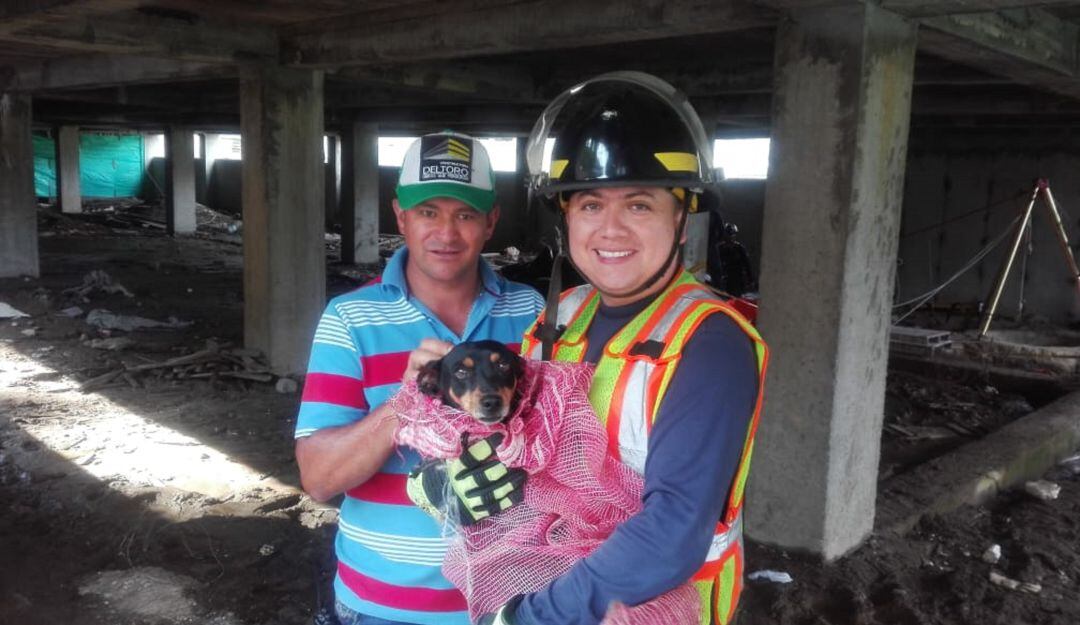 Momento del rescate del perro atrapado en una recámara en Armenia