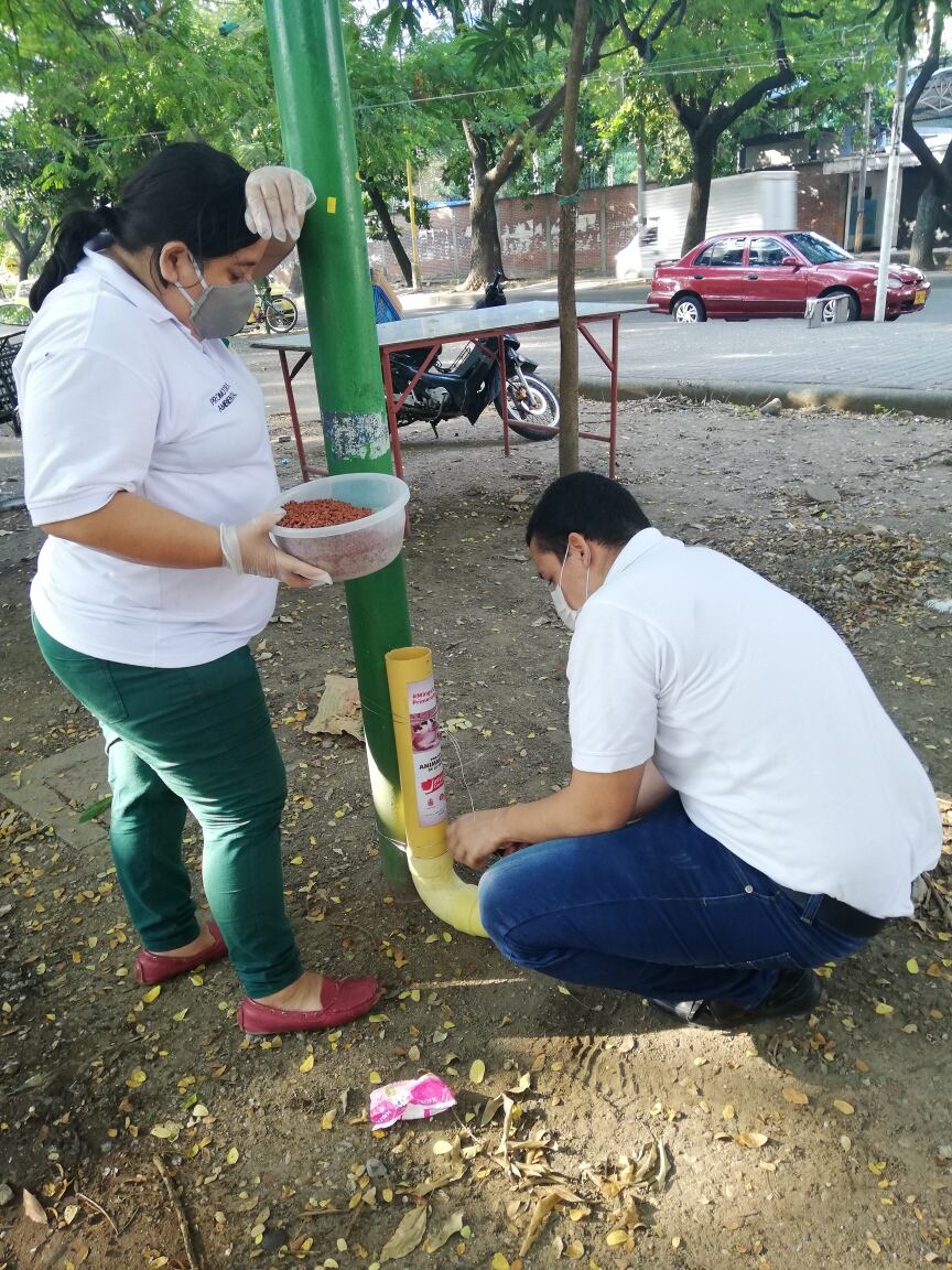 Sin embargo, las cifras de mordeduras no disminuyen. Foto Redes Sociales.