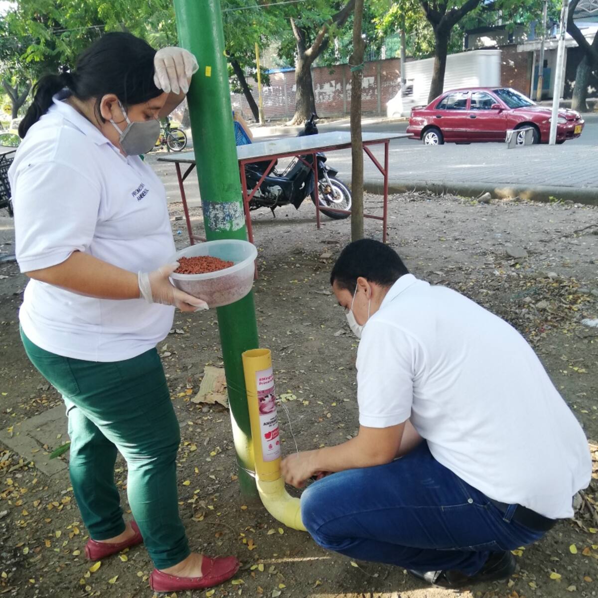 Más de 200 agresiones por animales al mes en Neiva