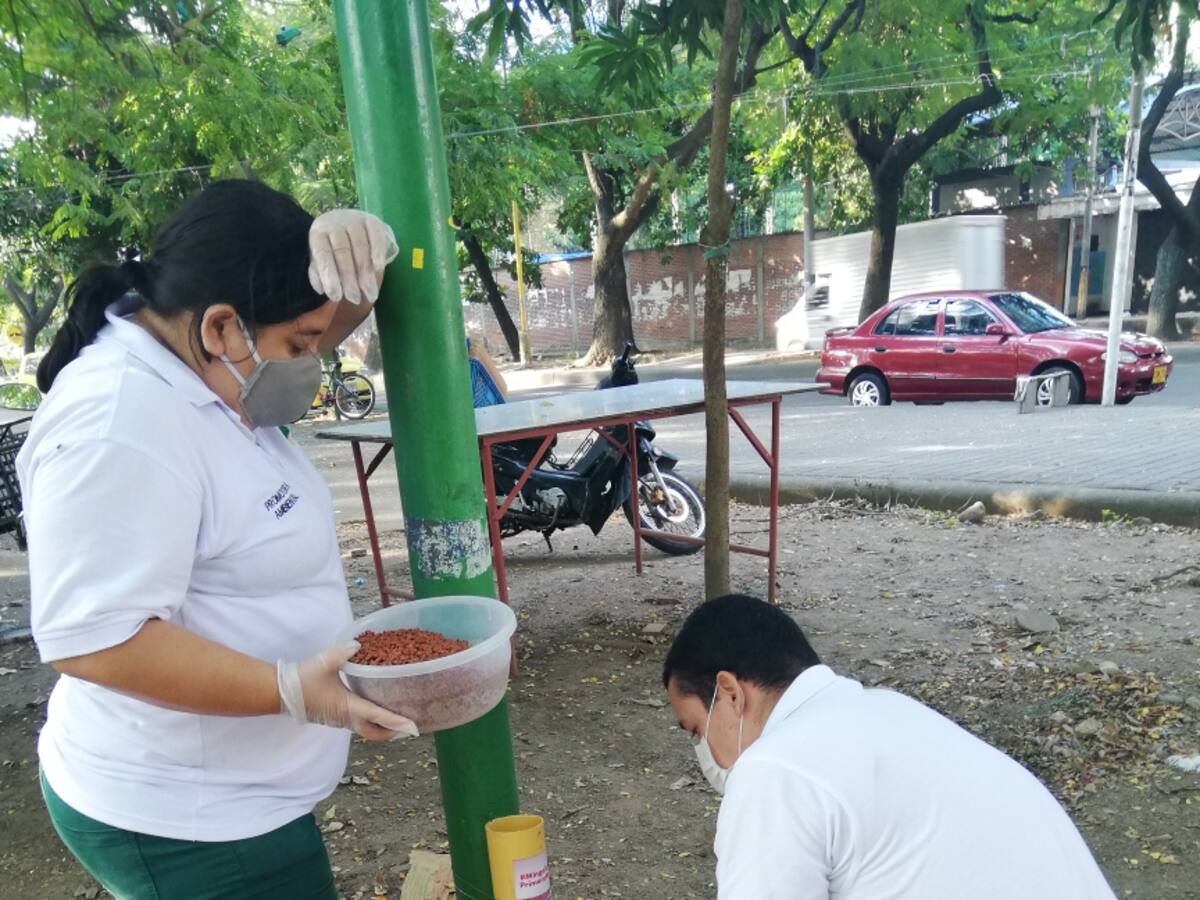 Más de 200 agresiones por animales al mes en Neiva