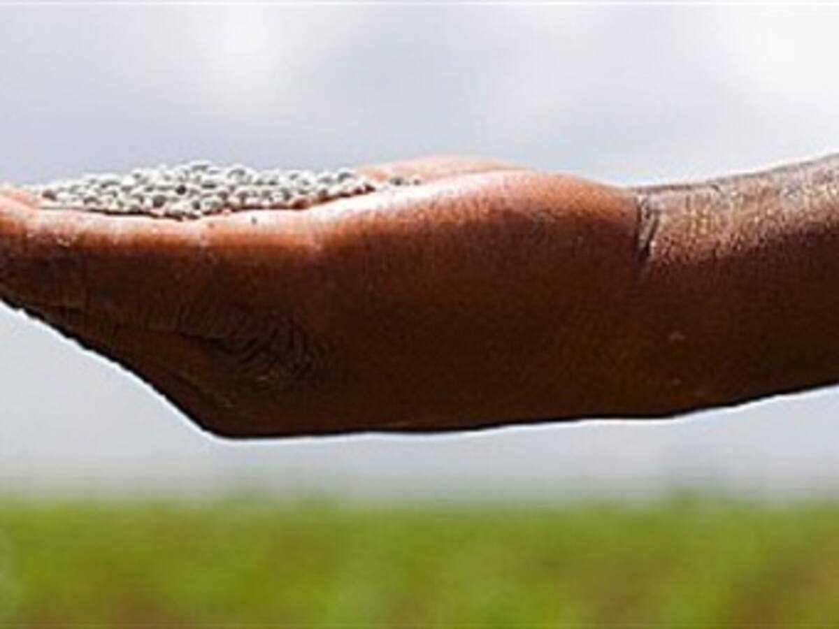 Gobierno estudia posible intervención en los precios de los fertilizantes: Minagricultura
