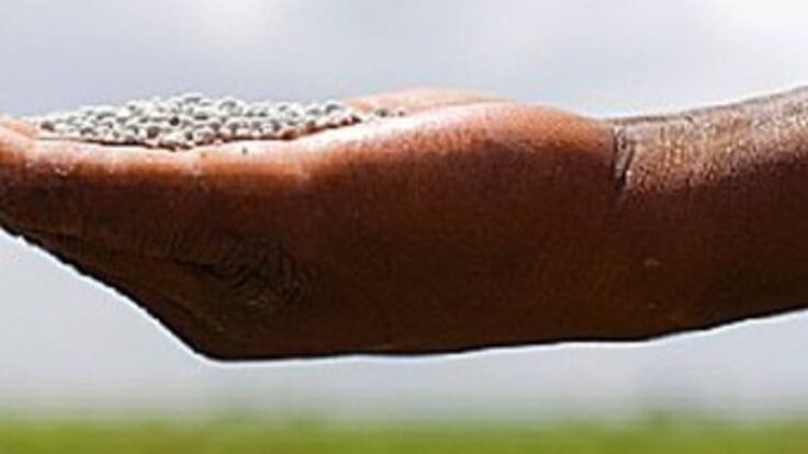 Gobierno estudia posible intervención en los precios de los fertilizantes: Minagricultura