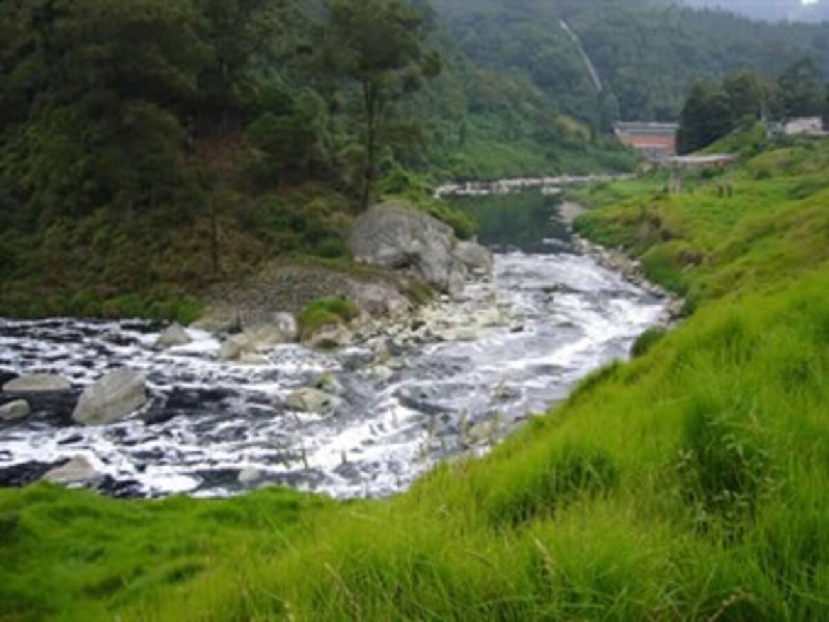 Microorganismos limpian aire del río Bogotá