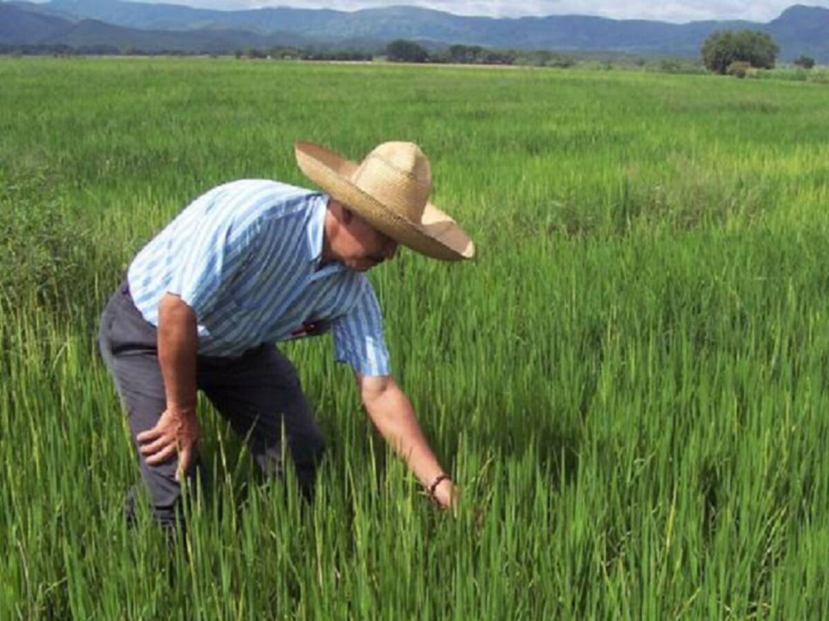 Cobro de la TUA genera polémica entre los distritos de riego del Tolima