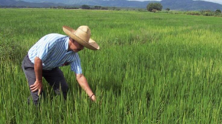 Cobro de la TUA genera polémica entre los distritos de riego del Tolima