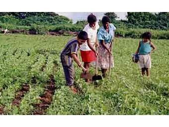 Foto: Minsterio de Agricultura