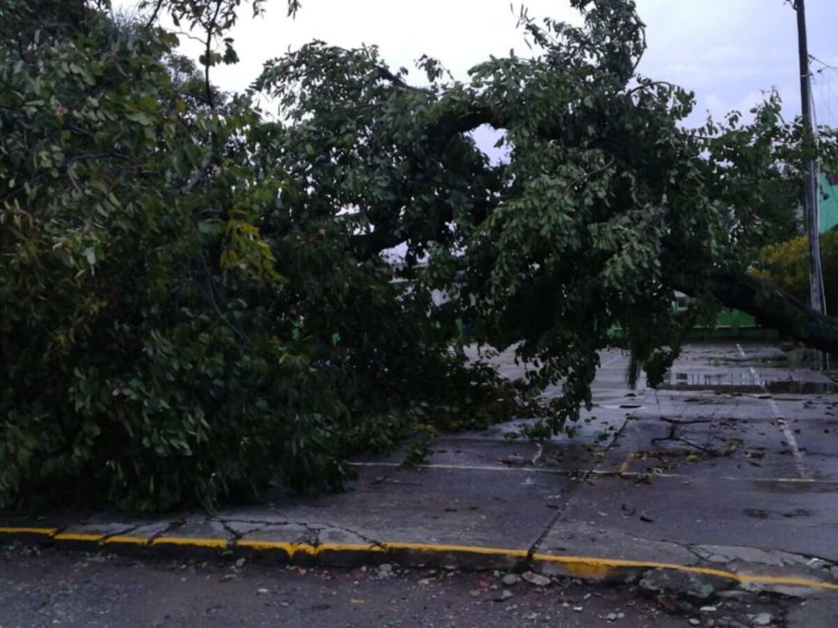 47 viviendas destechadas deja vendaval en vereda El Laurel en Quimbaya