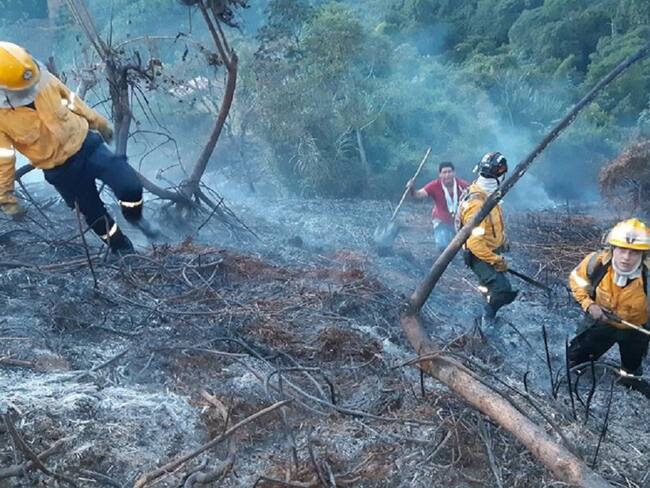 Tres incendios forestales ha tenido Anserma los últimos días
