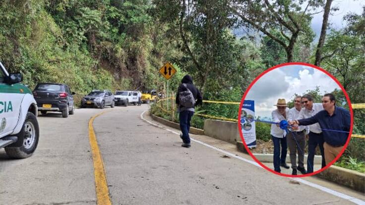 Director Forestal de Smurfit Westrock