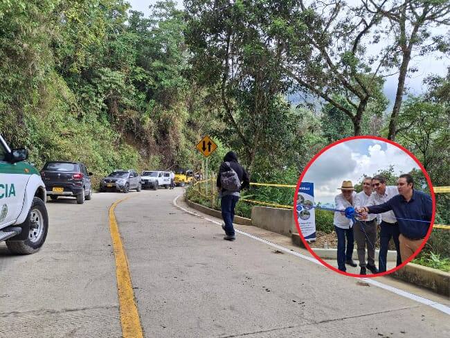 Director Forestal de Smurfit Westrock