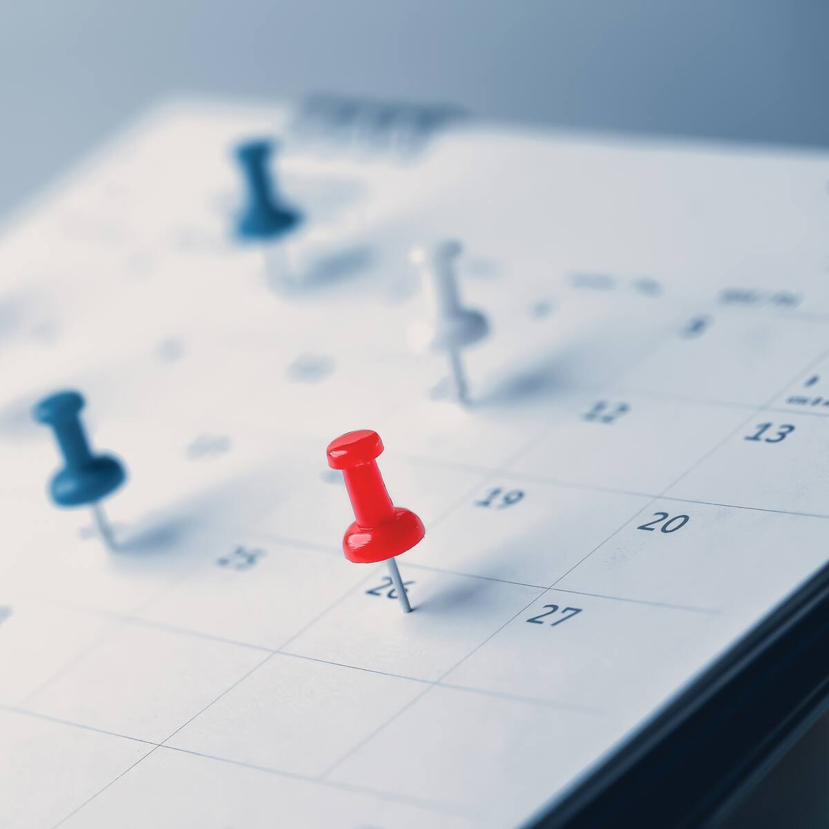 ¿Cuántos festivos hay en agosto de 2024 y qué día caen? Esto celebran