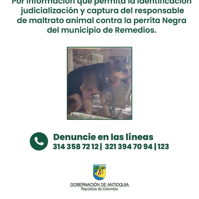 Foto: Gobernación de Antioquia