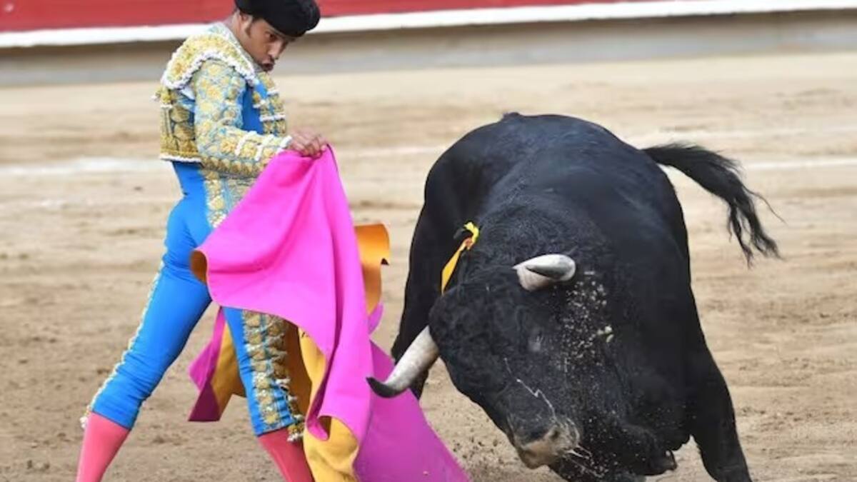¿Cómo votarán los representantes de Caldas la prohibición de las corridas de toros?