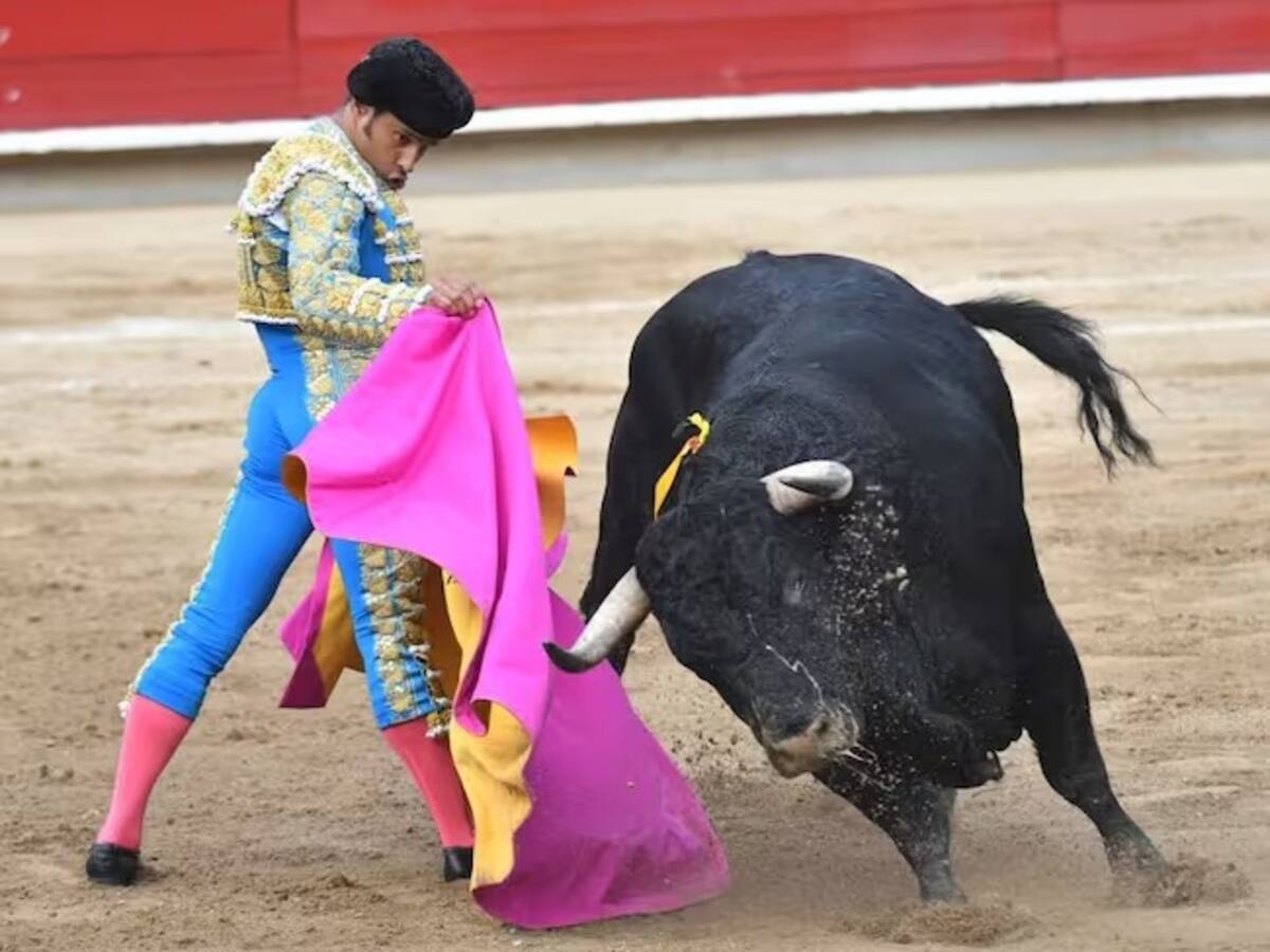 ¿Cómo votarán los representantes de Caldas la prohibición de las corridas de toros?