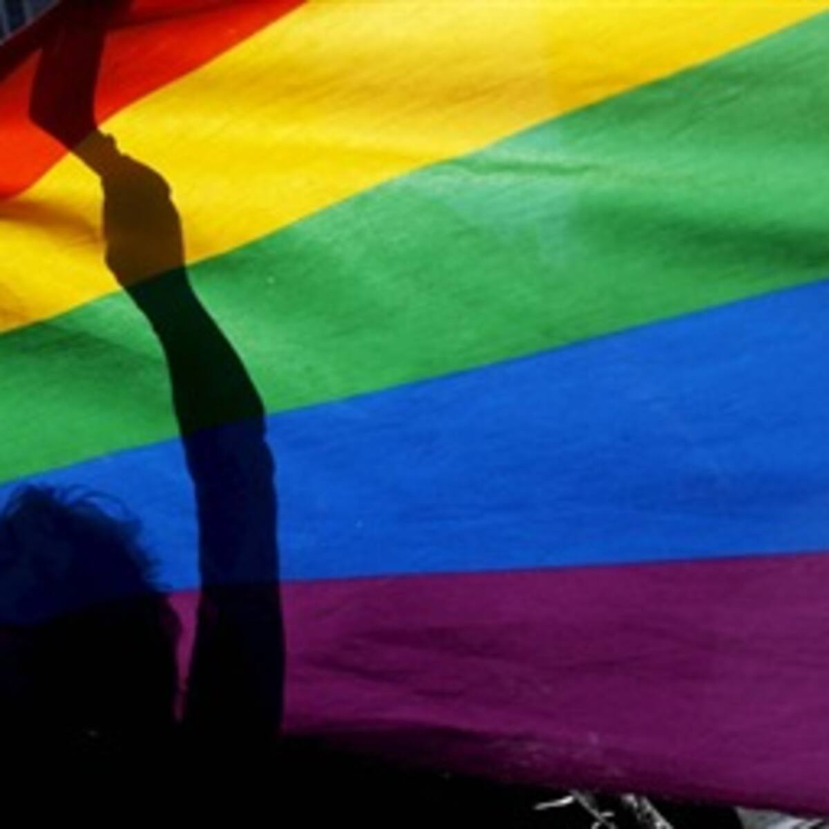 Homosexualidad, travestismo, bisexualismo, transexualismo