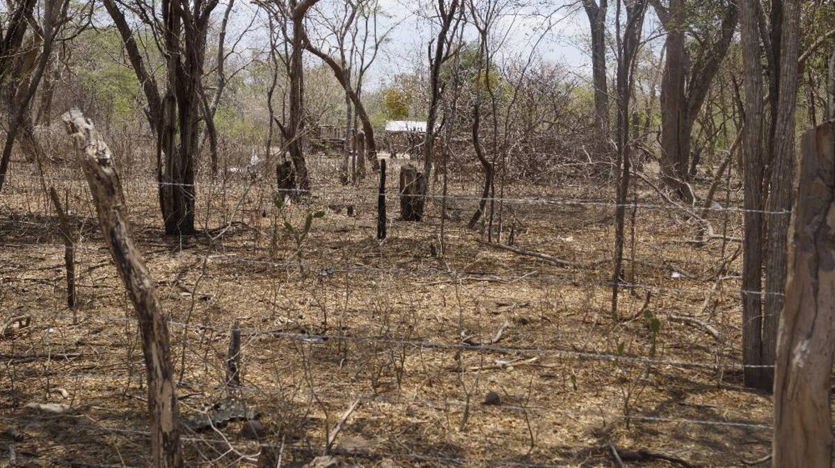 Recorrido de Caracol Radio por las zonas que aguantan sed. Fotos de Luis Enrique Rodríguez