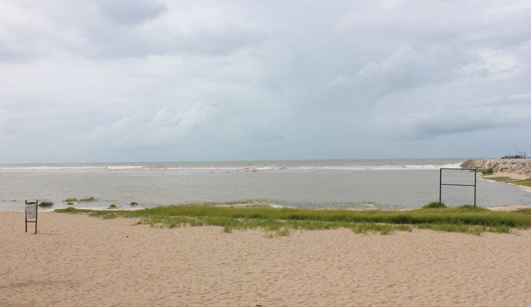 Imagen de referencia