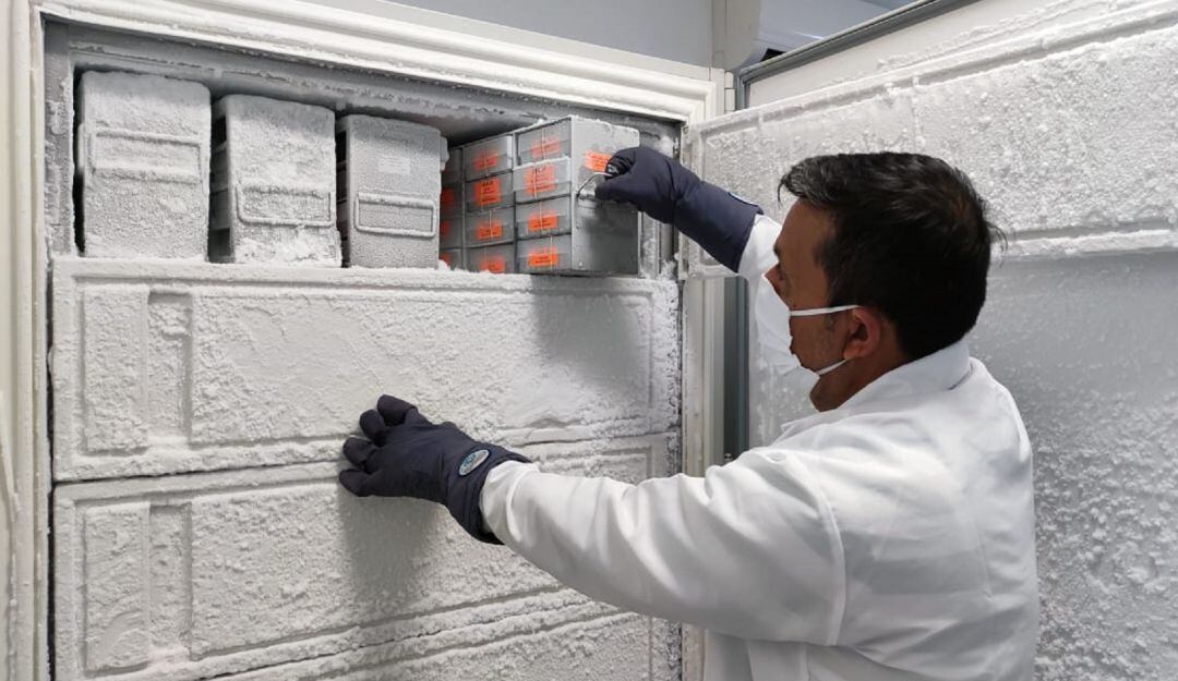 Cenicaña entre este congelador a la Secretaría de Salud del Valle.