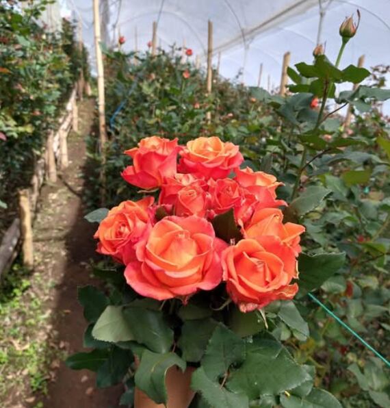 Fotografía: Colours Boutique Floral