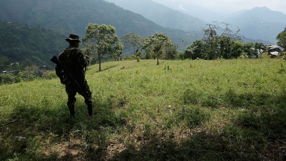 Colombia pasó de registrar 48.000 hectáreas de cultivos de coca en 2013 a cerca de 300.000 hectáreas