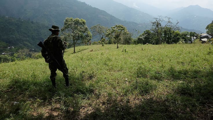 Colombia pasó de registrar 48.000 hectáreas de cultivos de coca en 2013 a cerca de 300.000 hectáreas