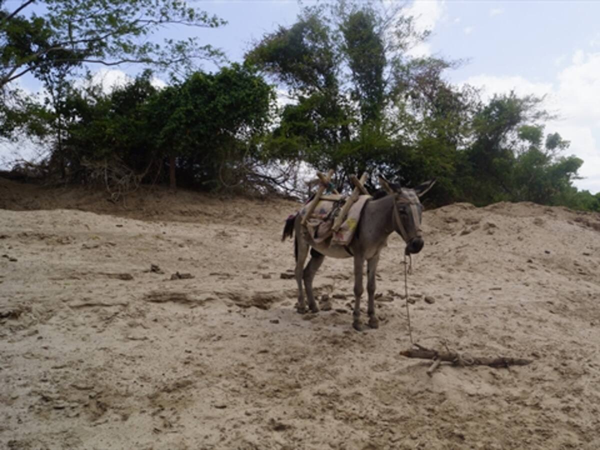El Cesar en alerta ante la temporada de sequía