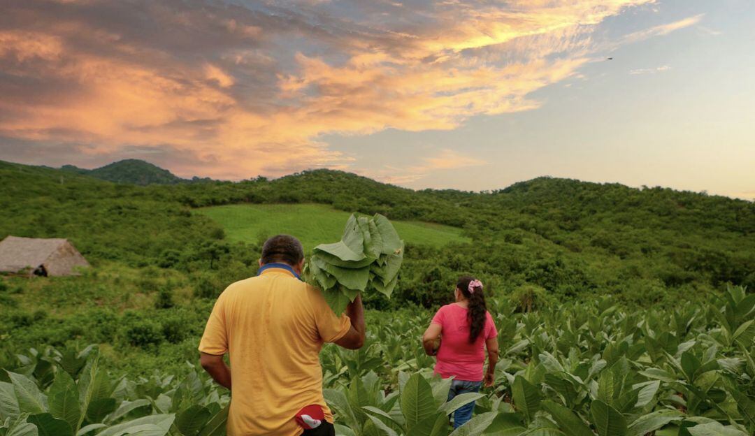 Unidad Nacional de Restitución de Tierras.