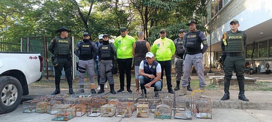 Alcaldía de Cartagena