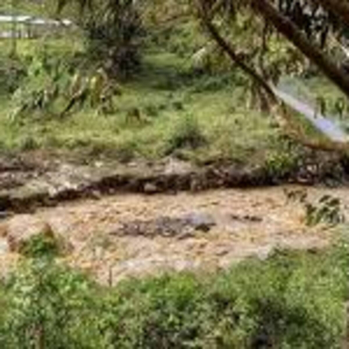 Un hombre fue rescatado de la creciente del rio Suaza, a raíz de las fuertes lluvias