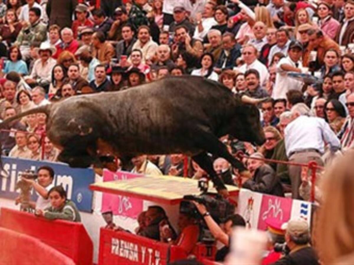 30 heridos por un toro que logró llegar a las gradas de una plaza en España